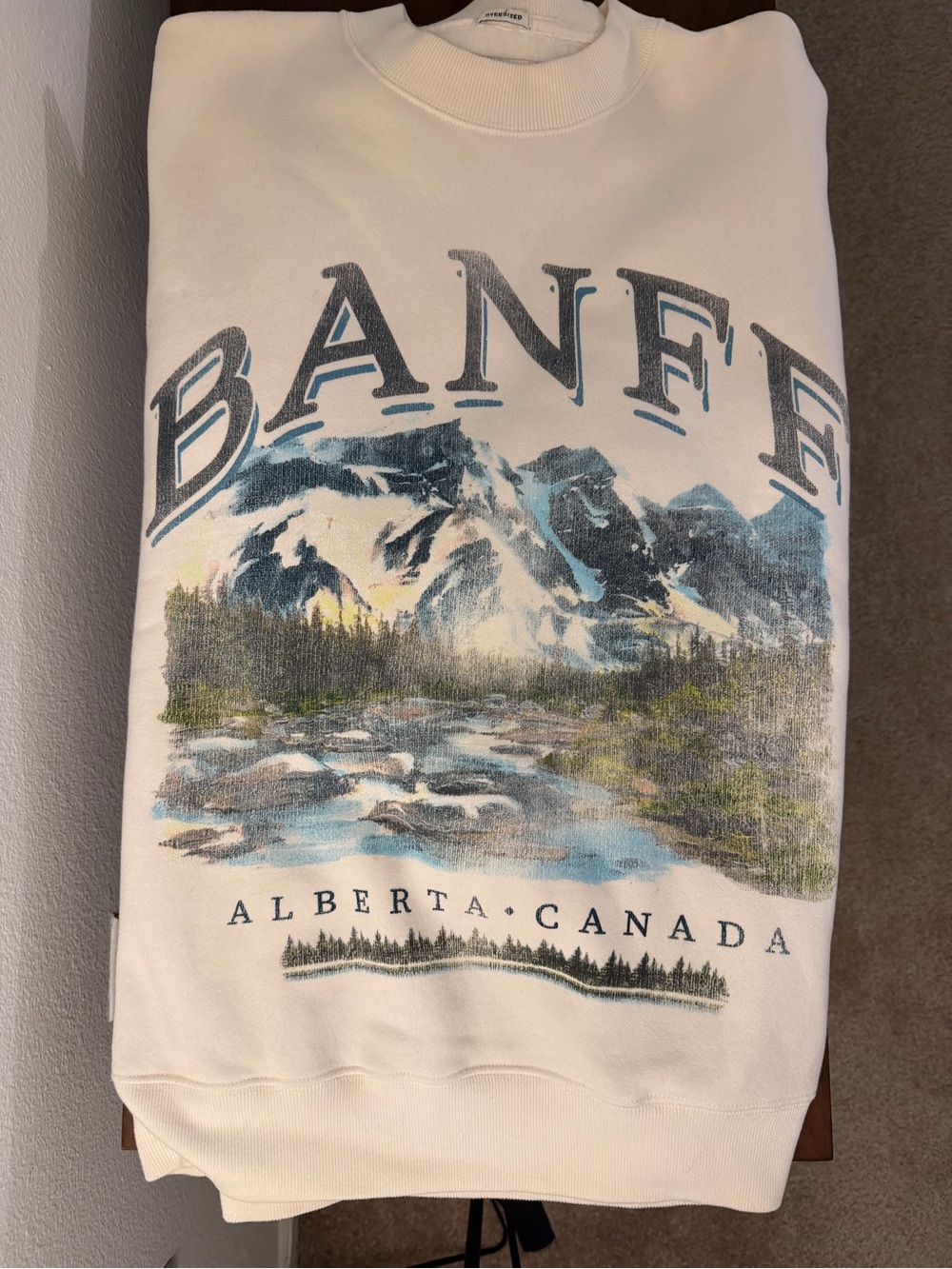 Abercrombie & Fitch Oversized Graphic Sweater - Banff National Park - Picture 3 of 7